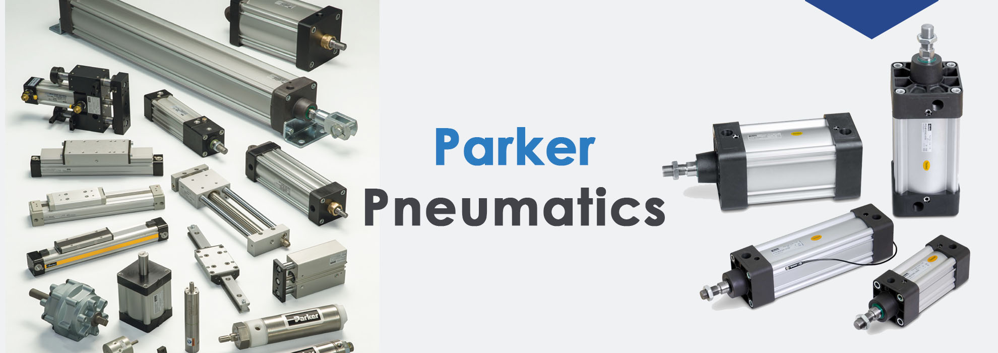 Garlock Sealing Technologies